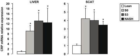 https://cdn.ncbi.nlm.nih.gov/pmc/blobs/5d40/2962651/dcdbb61502ca/pone.0013577.g004.jpg