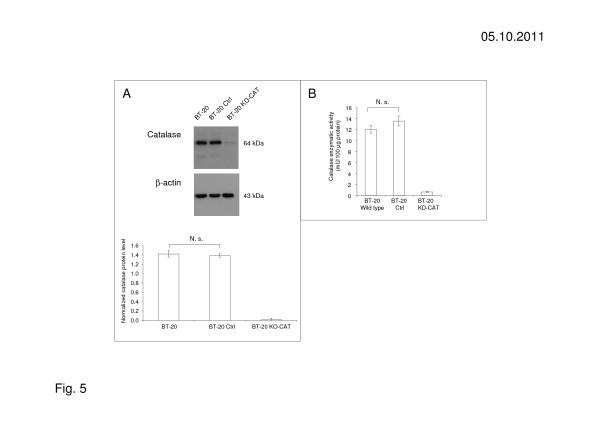 https://cdn.ncbi.nlm.nih.gov/pmc/blobs/5d40/3404974/982d8e64888a/1472-6882-12-61-5.jpg