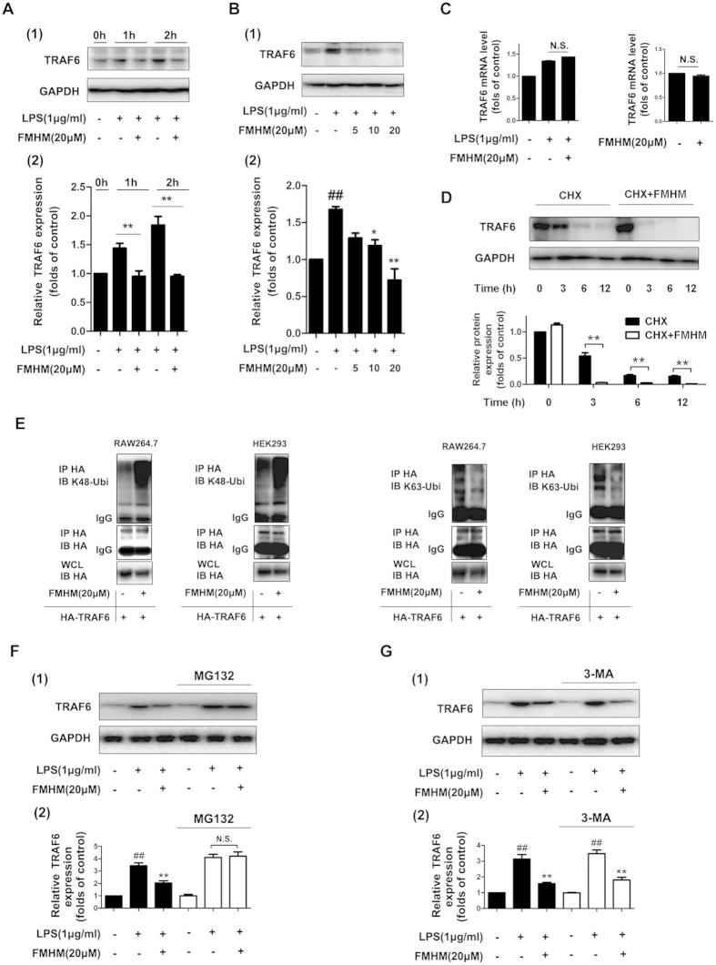 https://cdn.ncbi.nlm.nih.gov/pmc/blobs/5d40/4589686/541ad68017ed/srep14715-f3.jpg