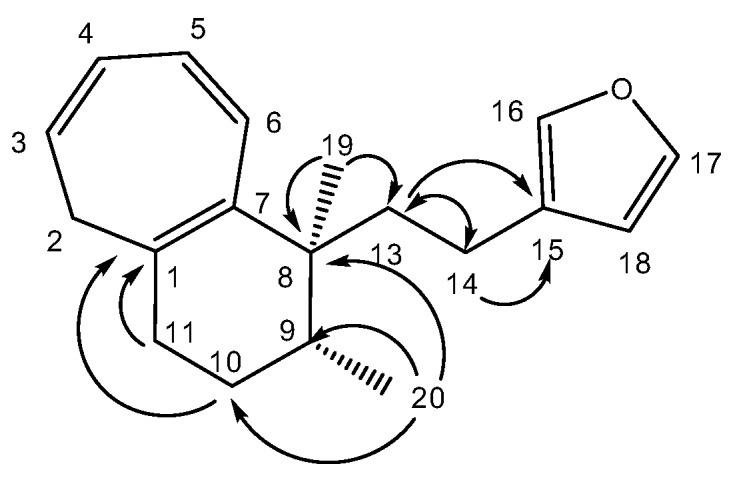 https://cdn.ncbi.nlm.nih.gov/pmc/blobs/5d40/7070720/685c646d84a6/molecules-25-00850-g002.jpg