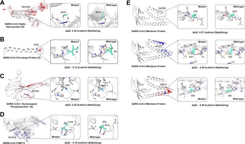 https://cdn.ncbi.nlm.nih.gov/pmc/blobs/5d40/9960476/07c21a3d188d/12967_2023_3996_Fig6_HTML.jpg