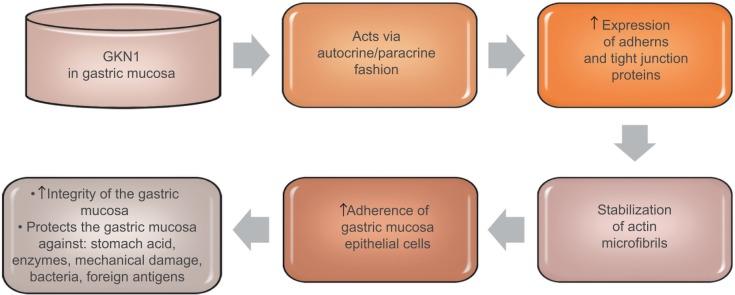 https://cdn.ncbi.nlm.nih.gov/pmc/blobs/5d42/6402446/2bbe21a45424/cmar-11-1921Fig2.jpg