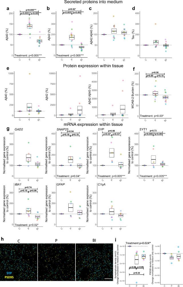 https://cdn.ncbi.nlm.nih.gov/pmc/blobs/5d44/12044016/3e71a1e49cf7/41467_2025_58879_Fig4_HTML.jpg