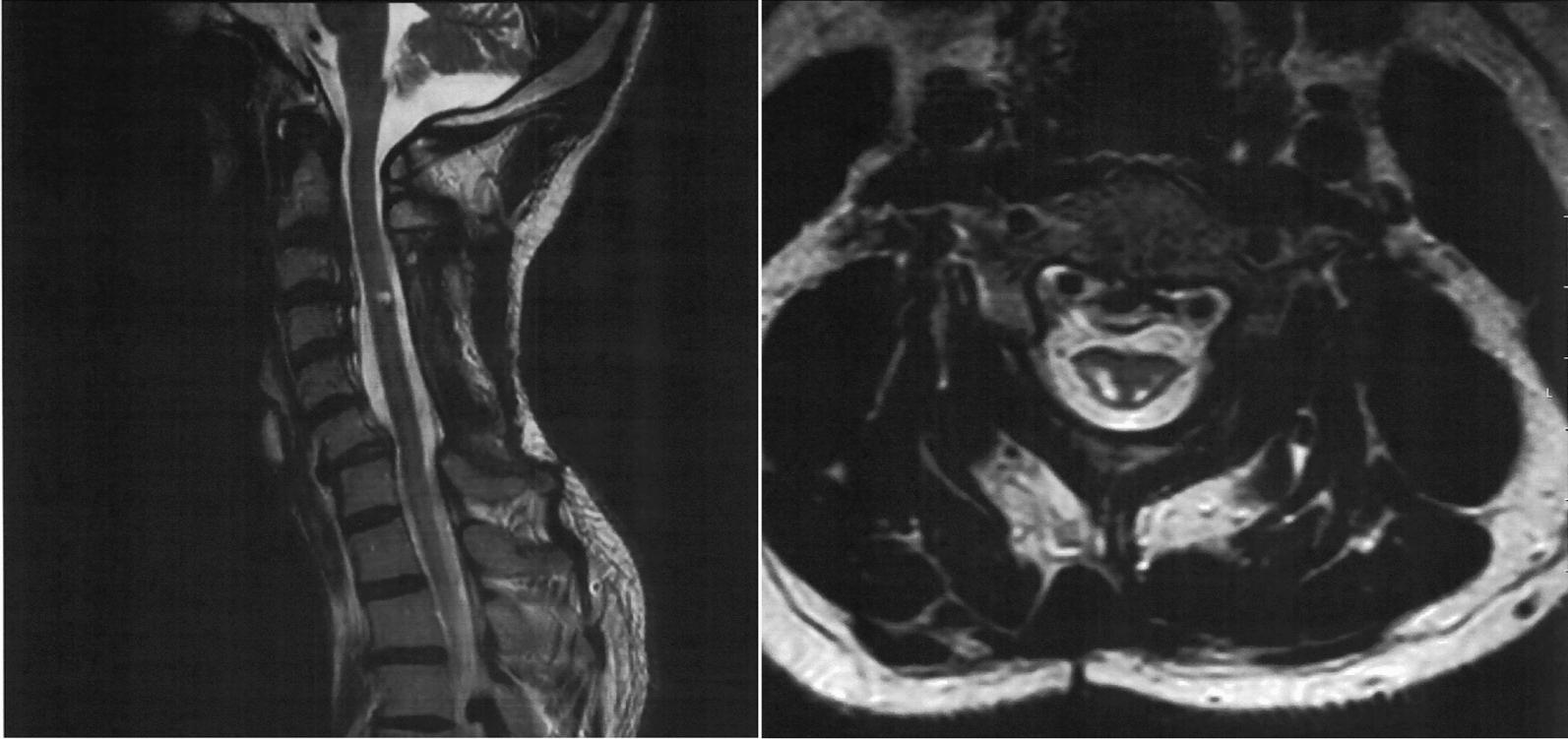 https://cdn.ncbi.nlm.nih.gov/pmc/blobs/5d45/11523587/b0eda52de097/13256_2024_4865_Fig4_HTML.jpg