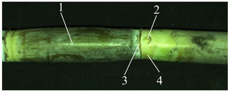 https://cdn.ncbi.nlm.nih.gov/pmc/blobs/5d45/9654303/e454125882fa/sensors-22-08266-g001.jpg
