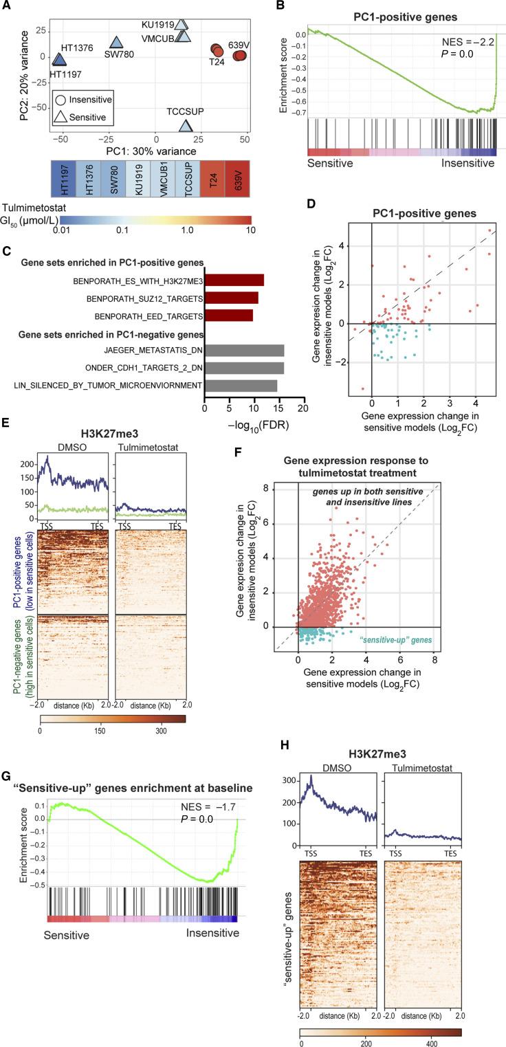 https://cdn.ncbi.nlm.nih.gov/pmc/blobs/5d47/11292196/24f23ef7b8c8/can-24-0398_f4.jpg