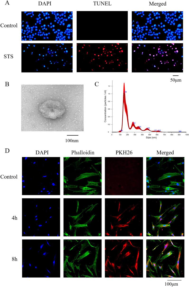 https://cdn.ncbi.nlm.nih.gov/pmc/blobs/5d47/9288680/c3c21fbce392/13287_2022_3004_Fig1_HTML.jpg
