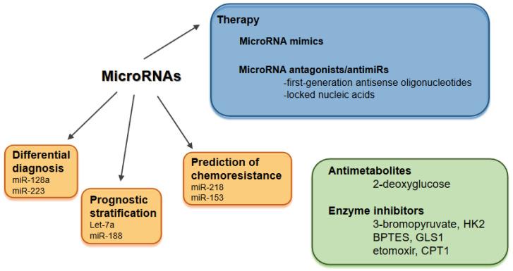 https://cdn.ncbi.nlm.nih.gov/pmc/blobs/5d48/8533942/2b8d9528d2d6/biomolecules-11-01531-g002.jpg
