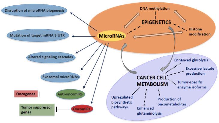 https://cdn.ncbi.nlm.nih.gov/pmc/blobs/5d48/8533942/d45a0113eaaf/biomolecules-11-01531-g001.jpg