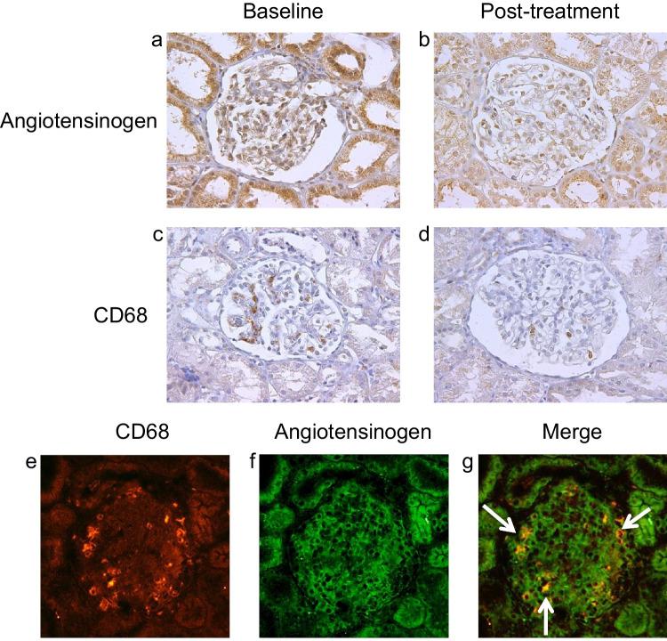 https://cdn.ncbi.nlm.nih.gov/pmc/blobs/5d49/10514104/cb457ca9f5b9/467_2023_6026_Fig3_HTML.jpg