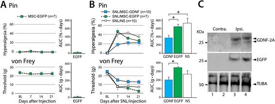 https://cdn.ncbi.nlm.nih.gov/pmc/blobs/5d49/4331376/46d036983850/12990_2015_2_Fig4_HTML.jpg