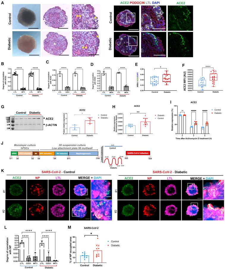 https://cdn.ncbi.nlm.nih.gov/pmc/blobs/5d49/9251325/011efdafc116/gr2.jpg