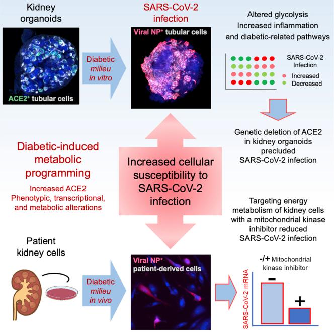 https://cdn.ncbi.nlm.nih.gov/pmc/blobs/5d49/9251325/219863960ca2/fx1.jpg