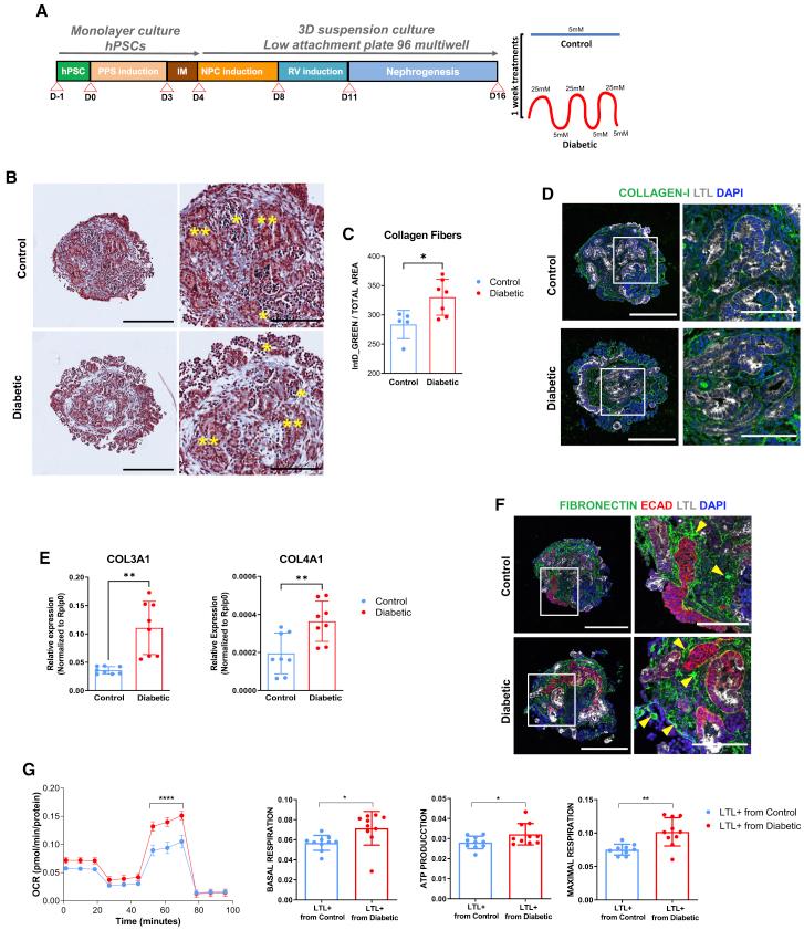 https://cdn.ncbi.nlm.nih.gov/pmc/blobs/5d49/9251325/3b002aa5174a/gr1.jpg