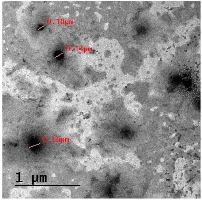 https://cdn.ncbi.nlm.nih.gov/pmc/blobs/5d4b/10604117/0c27b058844c/biomedicines-11-02771-g002.jpg