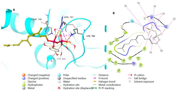 https://cdn.ncbi.nlm.nih.gov/pmc/blobs/5d4b/10604117/1f0e9e41870c/biomedicines-11-02771-g003.jpg