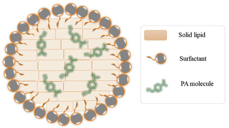 https://cdn.ncbi.nlm.nih.gov/pmc/blobs/5d4b/10604117/8763a90f6793/biomedicines-11-02771-g001.jpg