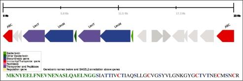 https://cdn.ncbi.nlm.nih.gov/pmc/blobs/5d4b/2896169/6f23e2e37a37/gkq365f2.jpg