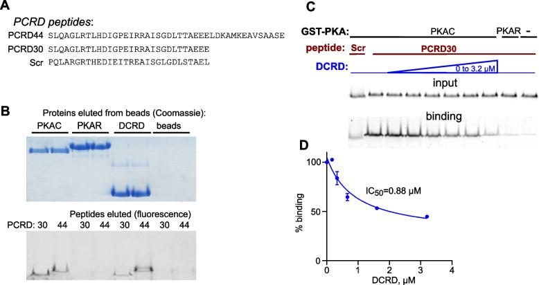 https://cdn.ncbi.nlm.nih.gov/pmc/blobs/5d4c/11603854/c51c9b81380a/12915_2024_2076_Fig7_HTML.jpg