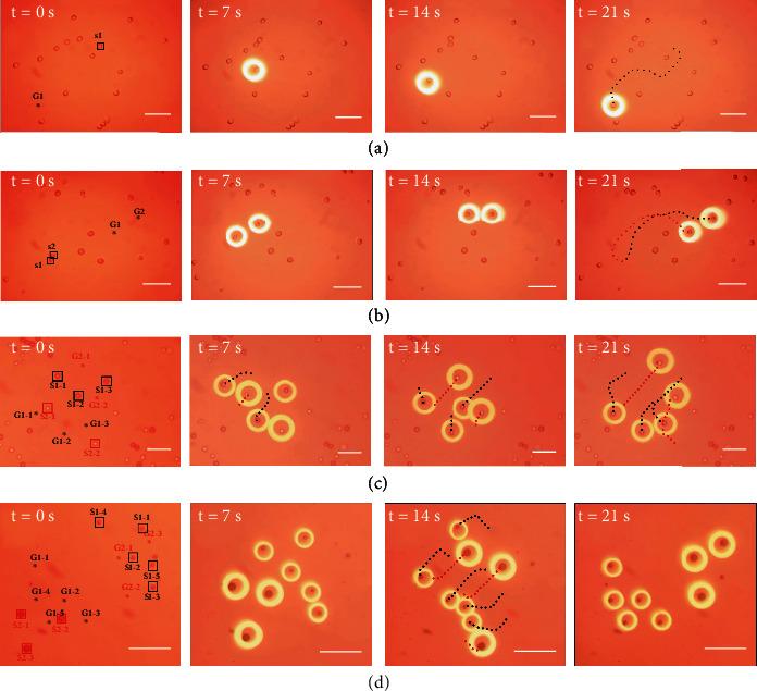 https://cdn.ncbi.nlm.nih.gov/pmc/blobs/5d4d/9652702/e81539e12a33/CBSYSTEMS2022-9890607.005.jpg