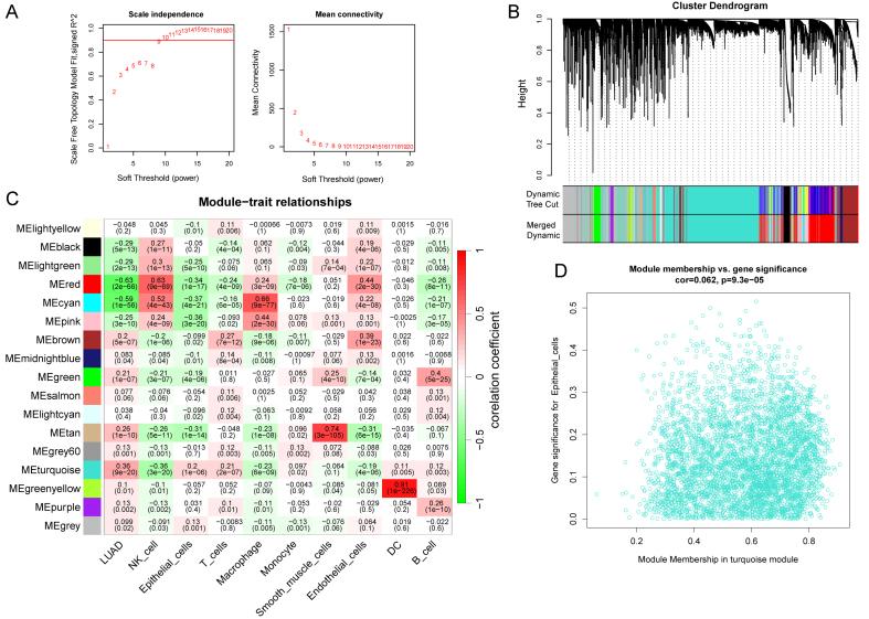 https://cdn.ncbi.nlm.nih.gov/pmc/blobs/5d4f/11810459/07d6082075e2/cdr-8-3.fig.4.jpg