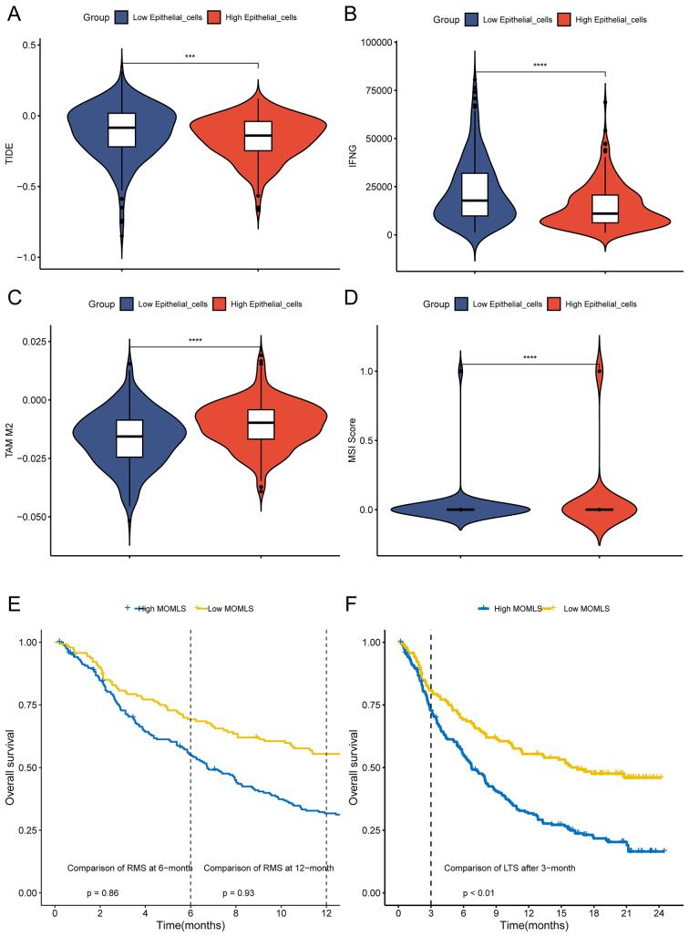 https://cdn.ncbi.nlm.nih.gov/pmc/blobs/5d4f/11810459/11119fa68913/cdr-8-3.fig.9.jpg