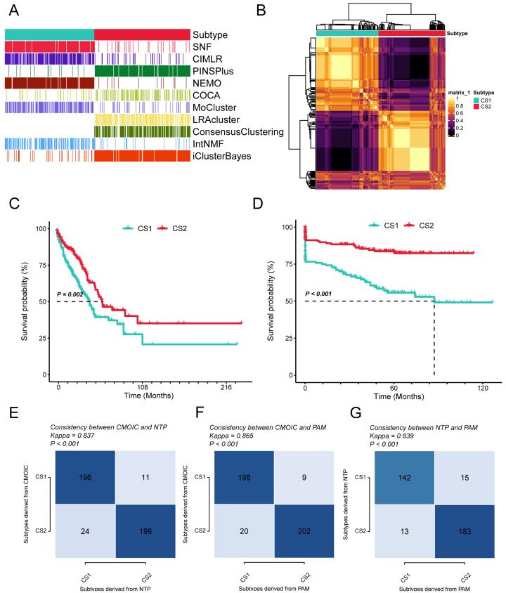 https://cdn.ncbi.nlm.nih.gov/pmc/blobs/5d4f/11810459/5d81be922020/cdr-8-3.fig.5.jpg