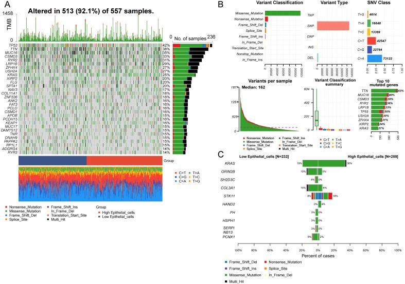 https://cdn.ncbi.nlm.nih.gov/pmc/blobs/5d4f/11810459/c10fc2cffd6b/cdr-8-3.fig.3.jpg