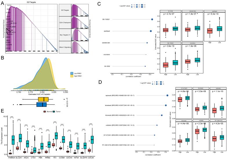 https://cdn.ncbi.nlm.nih.gov/pmc/blobs/5d4f/11810459/c96d5366af93/cdr-8-3.fig.11.jpg