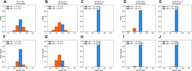 https://cdn.ncbi.nlm.nih.gov/pmc/blobs/5d4f/9723644/b739d943cdf0/gkac723fig2.jpg