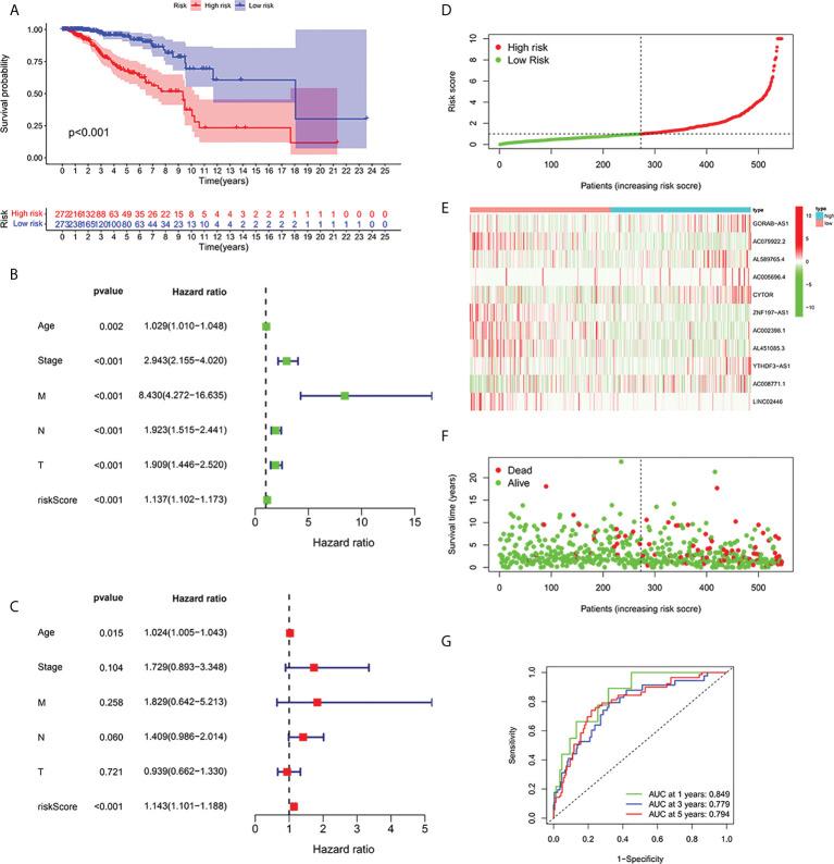 https://cdn.ncbi.nlm.nih.gov/pmc/blobs/5d52/9531154/006565beb776/fonc-12-988680-g002.jpg
