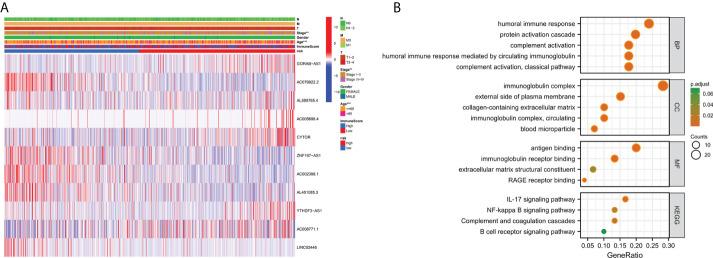 https://cdn.ncbi.nlm.nih.gov/pmc/blobs/5d52/9531154/6953f091c776/fonc-12-988680-g007.jpg