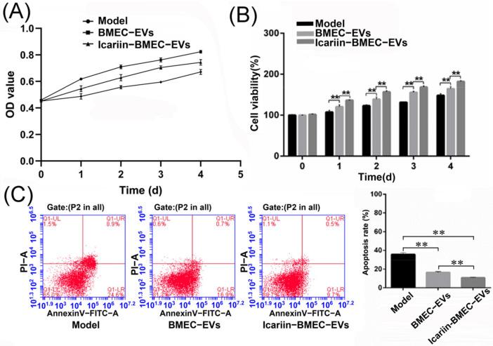 https://cdn.ncbi.nlm.nih.gov/pmc/blobs/5d55/9221798/9104ce491693/cells-11-01921-g008.jpg