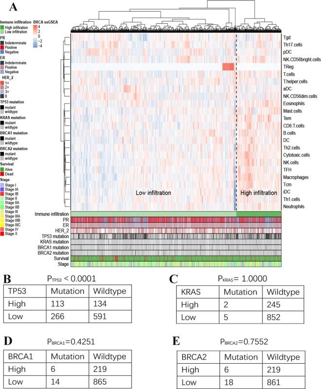 https://cdn.ncbi.nlm.nih.gov/pmc/blobs/5d56/6861325/0e0bbfeb3bbc/fgene-10-01119-g003.jpg