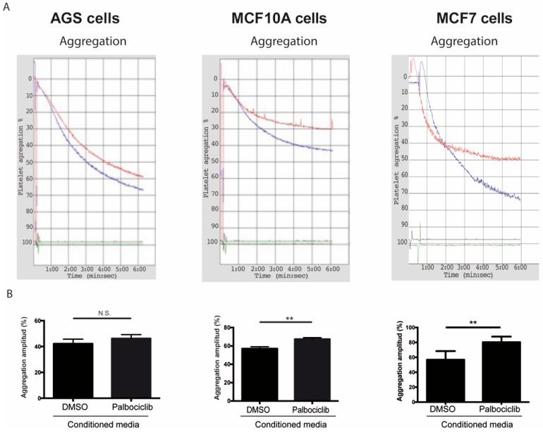 https://cdn.ncbi.nlm.nih.gov/pmc/blobs/5d56/6862446/de6616a43eb4/ijms-20-05292-g002.jpg