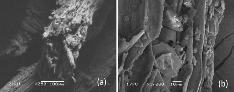 https://cdn.ncbi.nlm.nih.gov/pmc/blobs/5d56/8180188/72ed1f78f5f0/11696_2021_1644_Fig9_HTML.jpg
