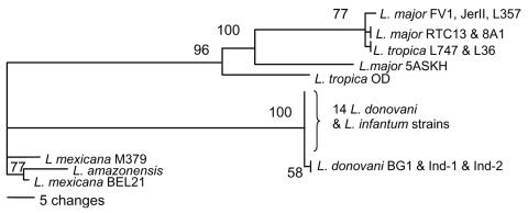 https://cdn.ncbi.nlm.nih.gov/pmc/blobs/5d57/2725894/b25c9f2e80d6/06-0242-F1.jpg