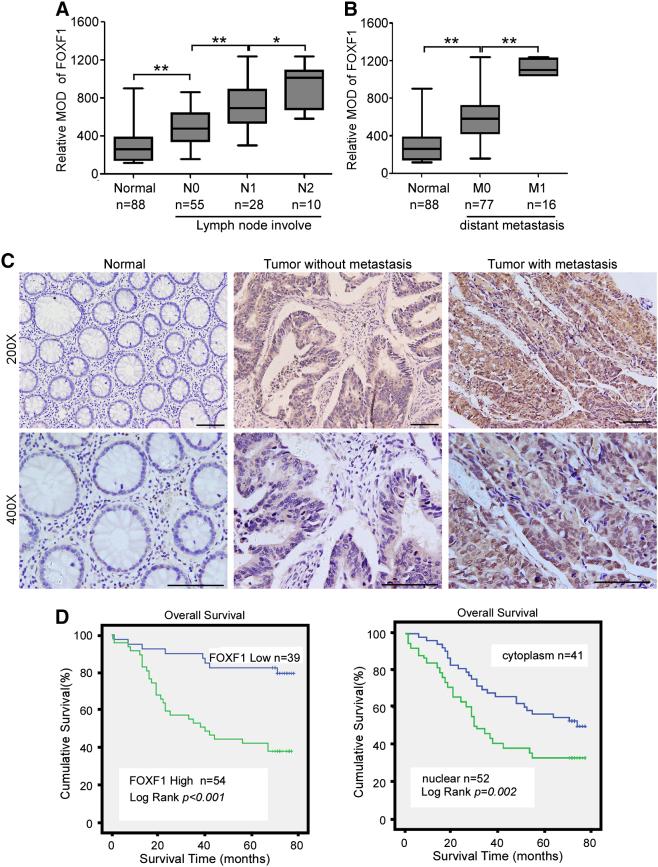 https://cdn.ncbi.nlm.nih.gov/pmc/blobs/5d57/6134153/4a462466f992/gr1.jpg