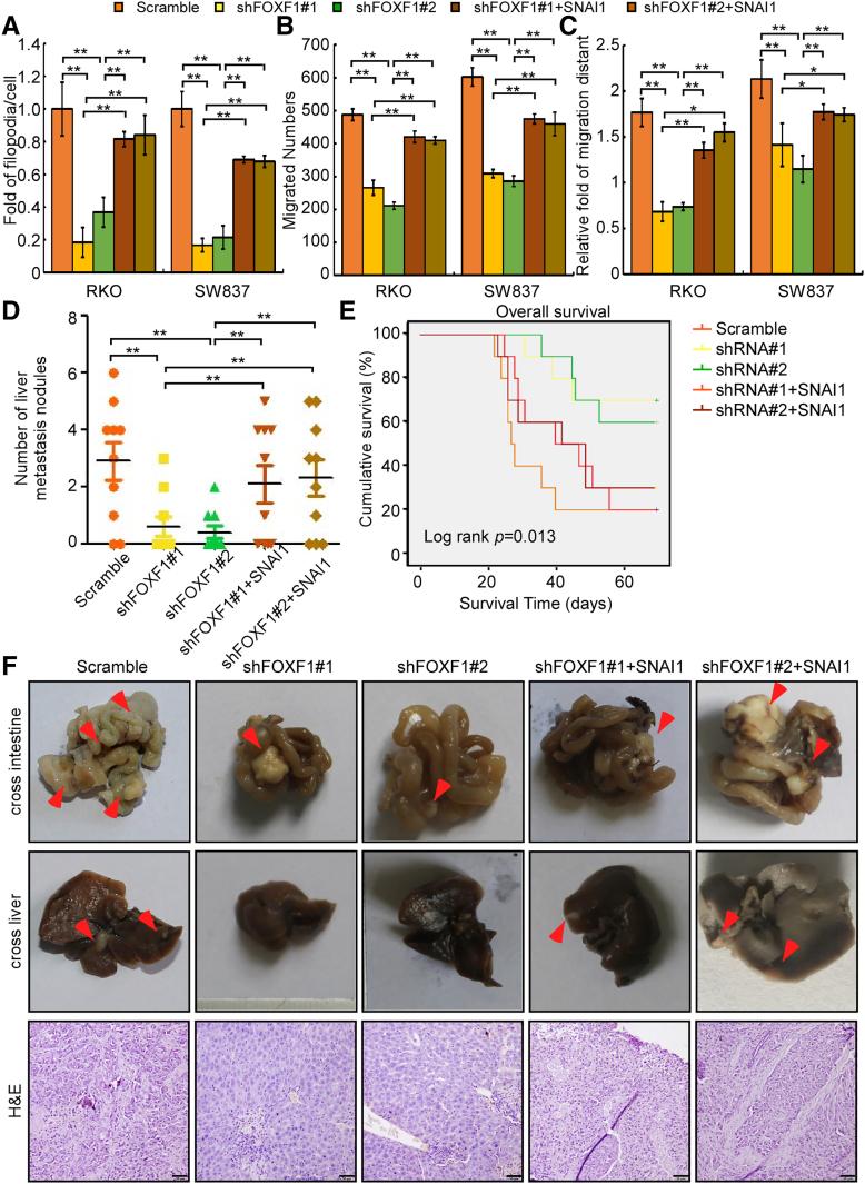 https://cdn.ncbi.nlm.nih.gov/pmc/blobs/5d57/6134153/b8eca7500984/gr5.jpg