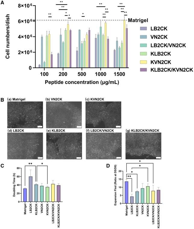 https://cdn.ncbi.nlm.nih.gov/pmc/blobs/5d59/12098265/c293b3f1ce34/rbaf035f3.jpg