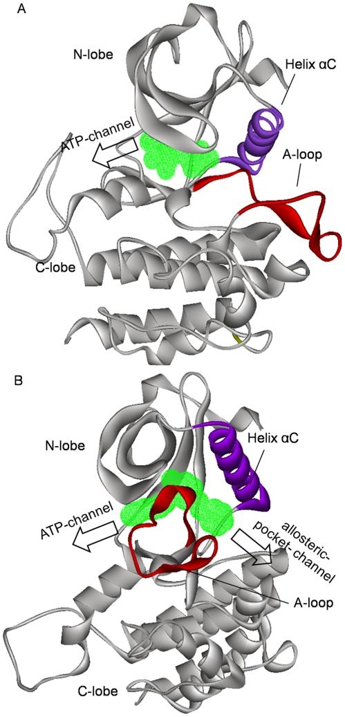 https://cdn.ncbi.nlm.nih.gov/pmc/blobs/5d59/2795779/51853c8f23f6/pone.0008470.g001.jpg