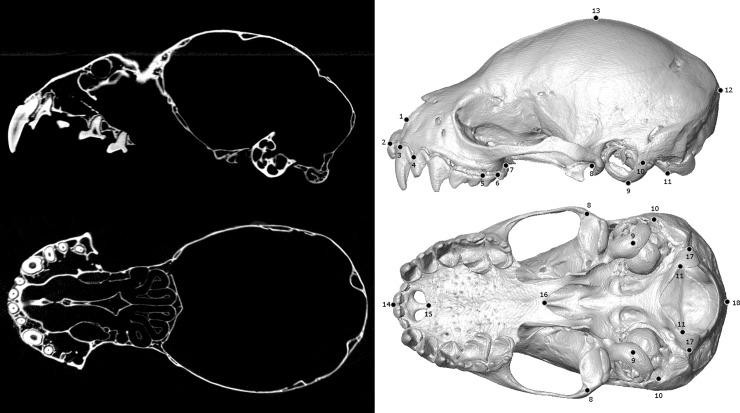 https://cdn.ncbi.nlm.nih.gov/pmc/blobs/5d5a/6143191/321614e8deb4/pone.0203022.g003.jpg