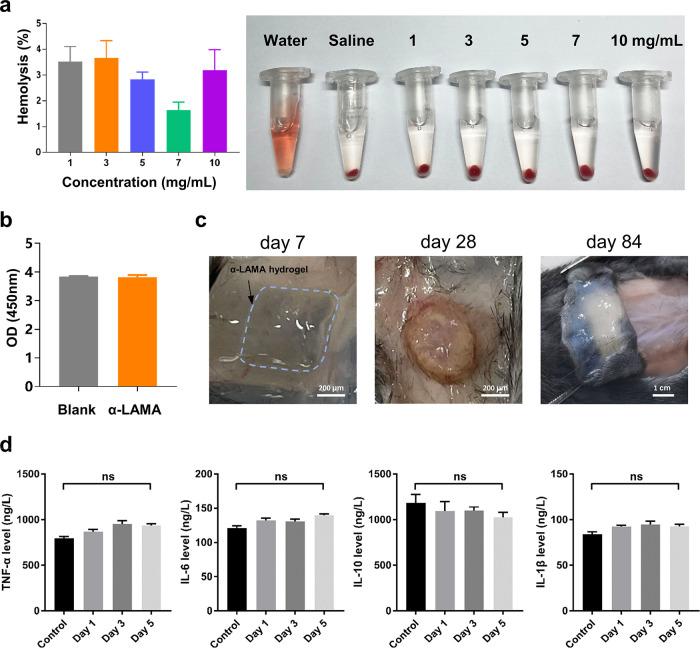 https://cdn.ncbi.nlm.nih.gov/pmc/blobs/5d5f/10785314/0decadb4e3c5/ao3c05793_0005.jpg