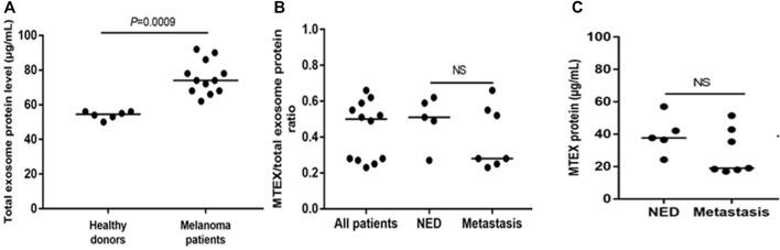 https://cdn.ncbi.nlm.nih.gov/pmc/blobs/5d5f/9853022/b35d7fcff749/fcell-10-1080925-g002.jpg