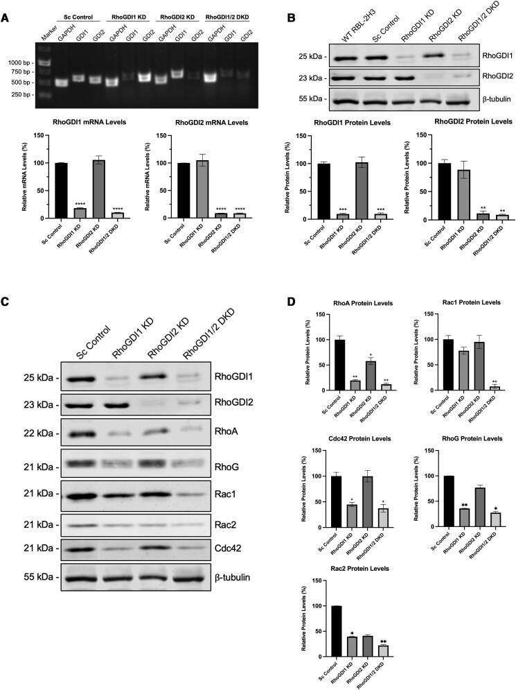 https://cdn.ncbi.nlm.nih.gov/pmc/blobs/5d62/11599123/ebc246930044/qiae150f4.jpg