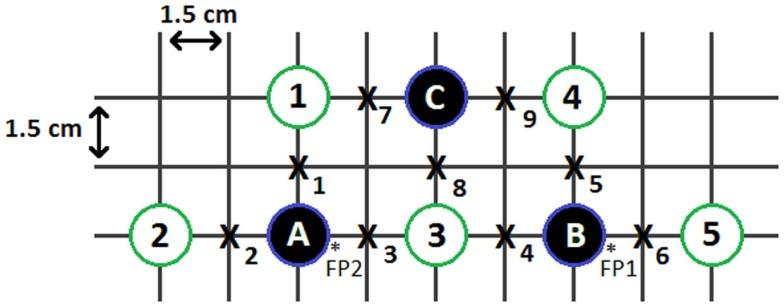 https://cdn.ncbi.nlm.nih.gov/pmc/blobs/5d62/4588107/19e537697ca2/fnhum-09-00536-g001.jpg