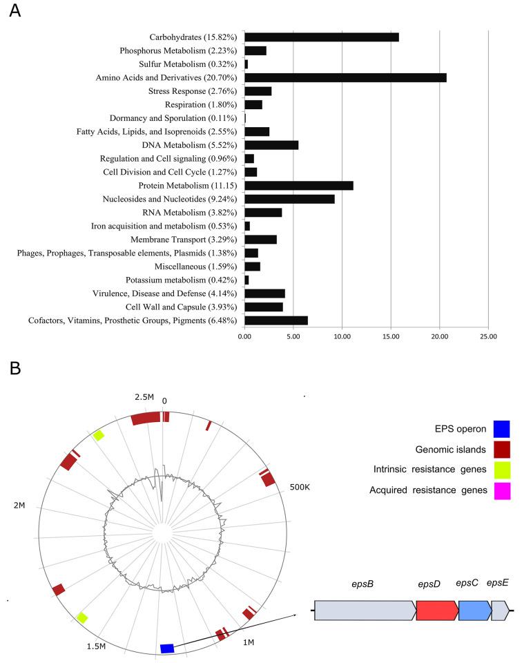 https://cdn.ncbi.nlm.nih.gov/pmc/blobs/5d63/11138040/ccf1d2cfdef7/12934_2024_2431_Fig2_HTML.jpg