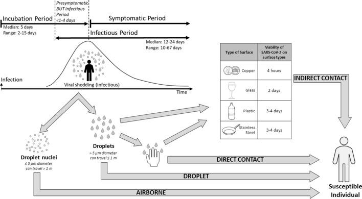 https://cdn.ncbi.nlm.nih.gov/pmc/blobs/5d63/7877517/847de3b0eb70/10311_2021_1186_Fig2_HTML.jpg
