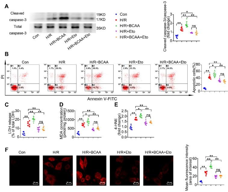 https://cdn.ncbi.nlm.nih.gov/pmc/blobs/5d66/7196282/136871a78604/thnov10p5623g002.jpg
