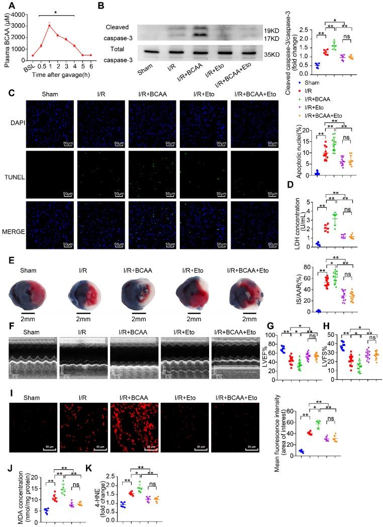 https://cdn.ncbi.nlm.nih.gov/pmc/blobs/5d66/7196282/3989d1abec44/thnov10p5623g003.jpg